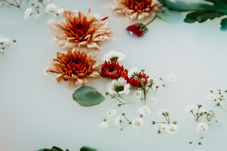 Rustgevende foto met bloemen drijvend in het water - Spa gevoel